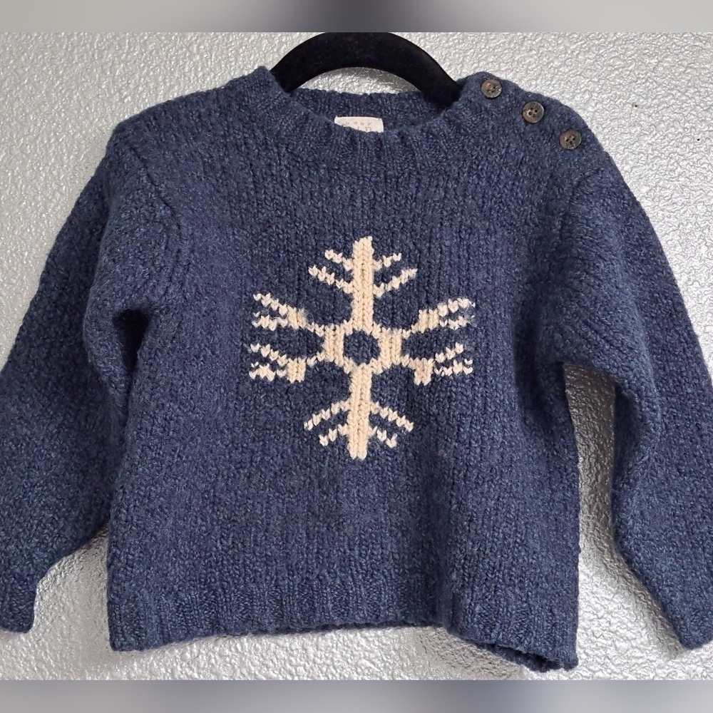 The Gap Holiday Little Boy's Wool Blend Sweater  1-2 Yrs